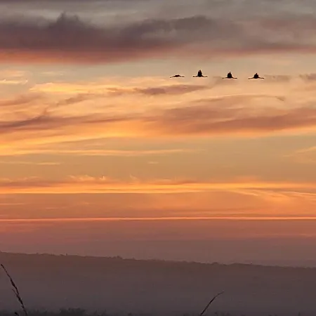 Апартаменты Heimathafen