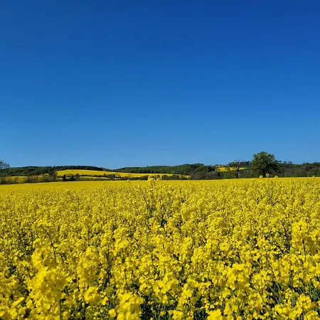 Heimathafen アパート ホーヴァハト
